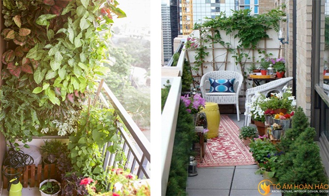 Ý Tưởng Độc Đáo Cho Thiết Kế Nội Thất Chung Cư Golden Place