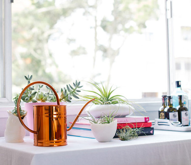 Thiết kế nội thất chung cư 70m2 Starcity 6