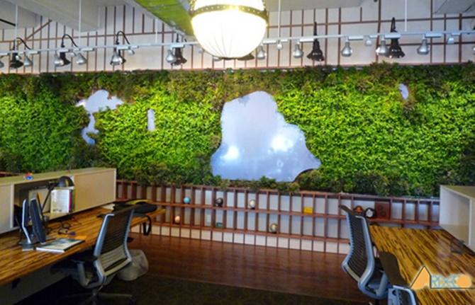 xu hướng xanh trong thiết kế thi công nội thất văn phòng 3