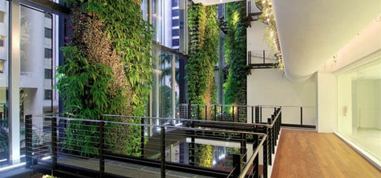 xu hướng xanh trong thiết kế thi công nội thất văn phòng