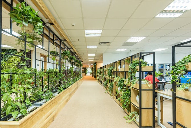 xu hướng xanh trong thiết kế thi công nội thất văn phòng 5