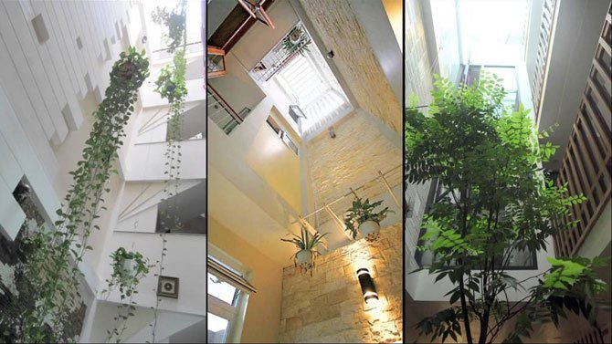 Thiết kế giếng trời - lưu ý không thể bỏ qua khi thiết kế thi công nội thất 3 thiết kế thi công nội thất 2