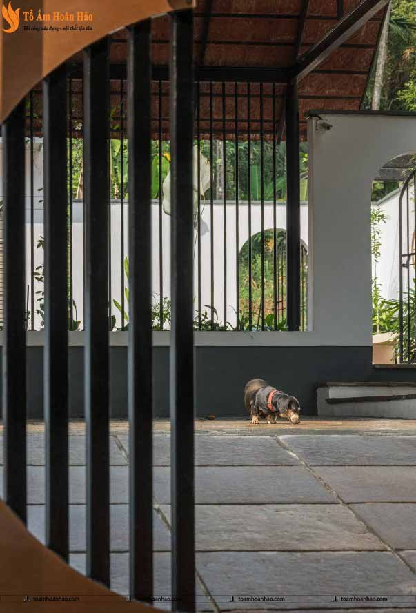 thiết kế nhà vườn